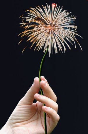 Flower-Work